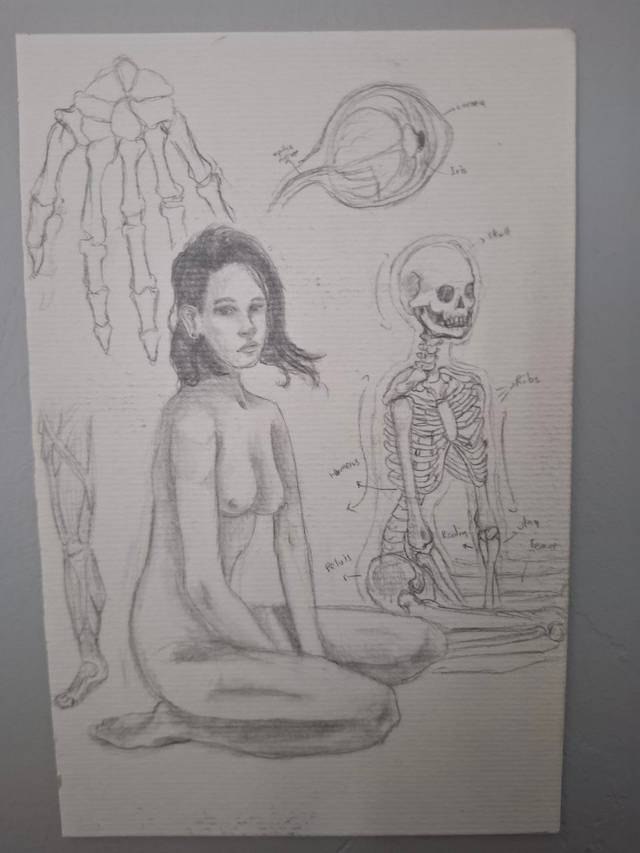 Graphite anatomy study of a seated nude woman next to a full skeleton, with a skeletal hand and an eye drawn around them.