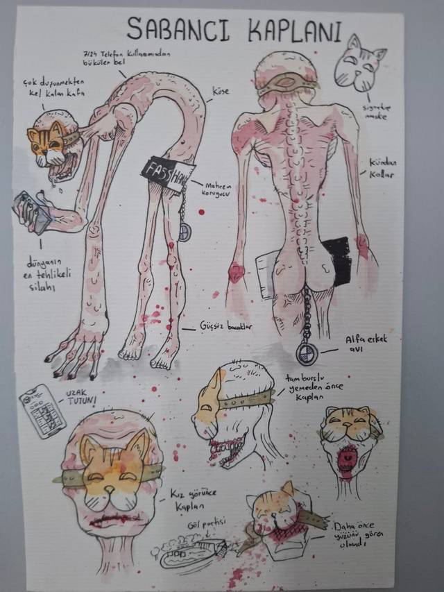 Watercolor and ink poster titled Sabanci Kaplani showing a gaunt tiger-headed creature from the front and back with handwritten labels, in pinks and yellows.