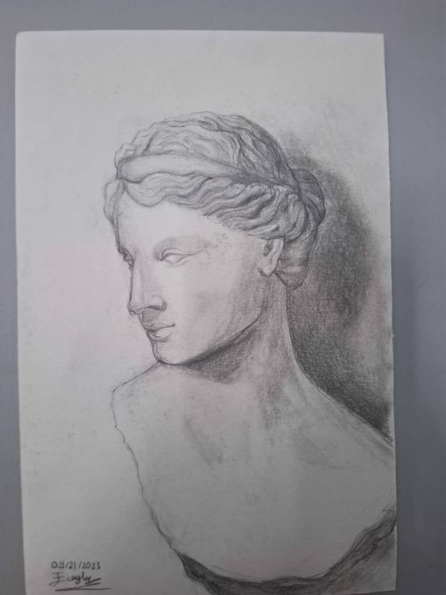 Graphite pencil study of a classical marble bust of a woman with braided hair, seen in three-quarter profile on white paper.